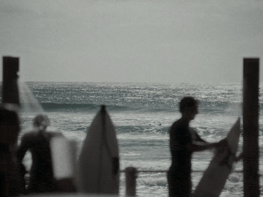 ARLO Burleigh